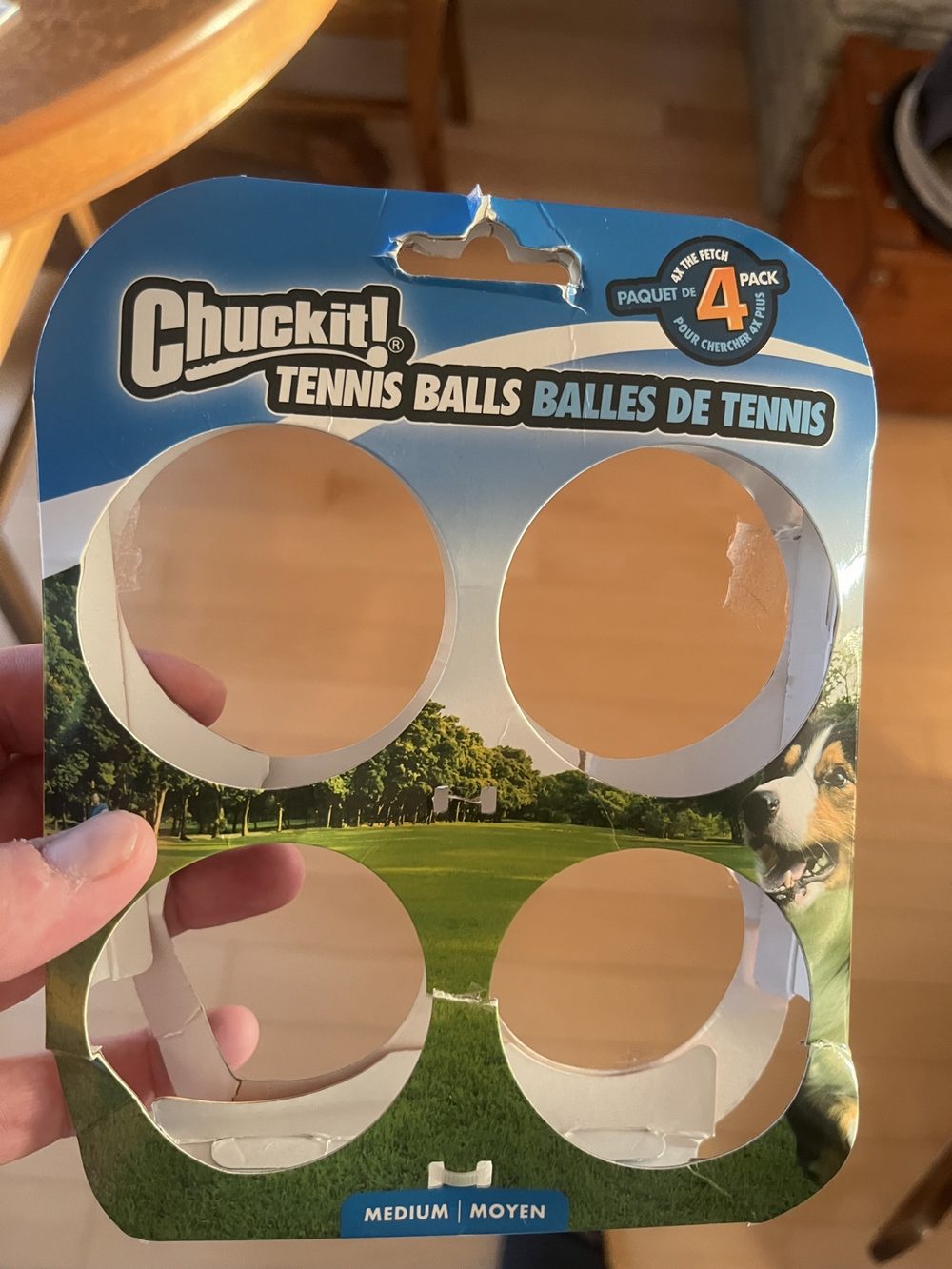 The empty Chuckit! Tennis Balls Medium 4-pack cardboard packaging, held in hand